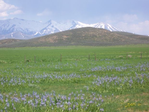Idaho Mountains